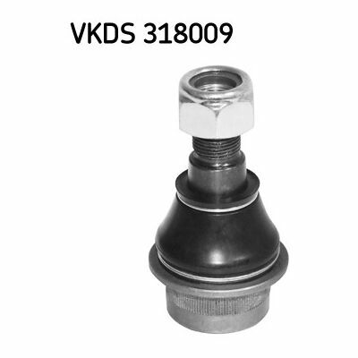 VKDS 318009