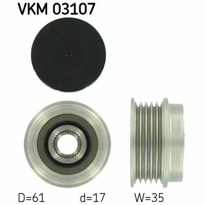 VKM 03107