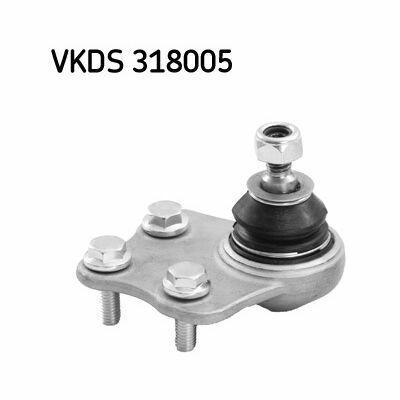 VKDS 318005