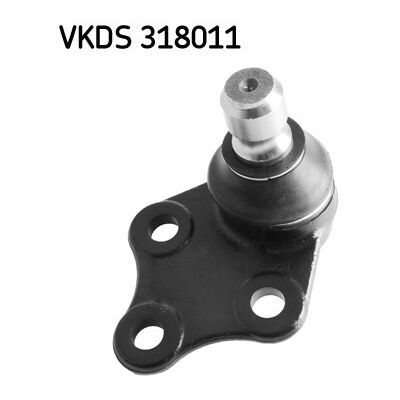 VKDS 318011