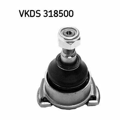 VKDS 318500