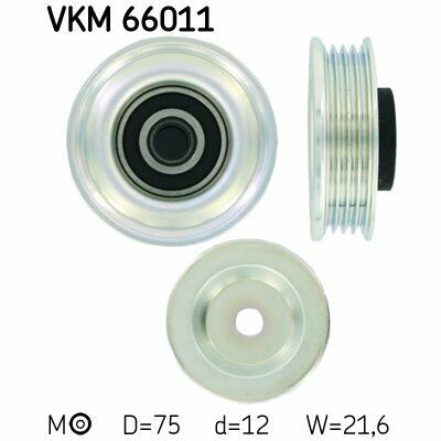 VKM 66011