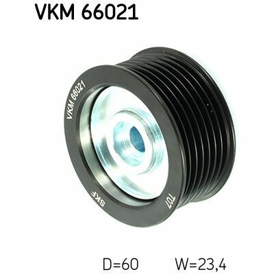 VKM 66021