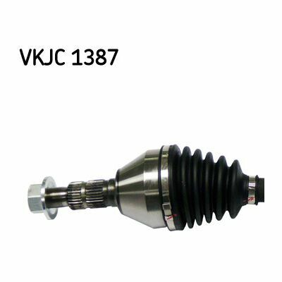 VKJC 1387