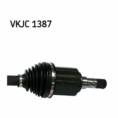 VKJC 1387