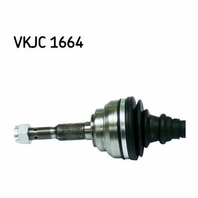 VKJC 1664