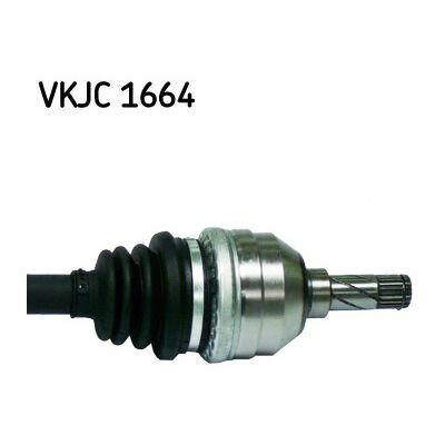 VKJC 1664