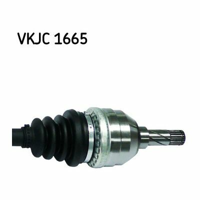 VKJC 1665