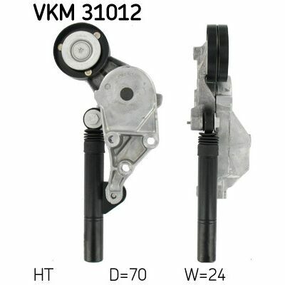 VKM 31012