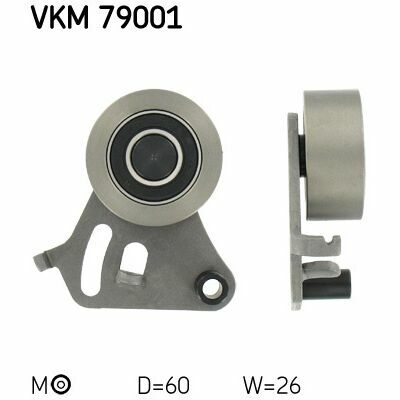 VKM 79001