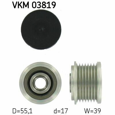 VKM 03819