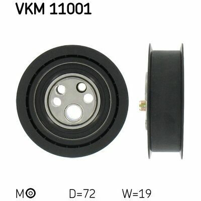 VKM 11001