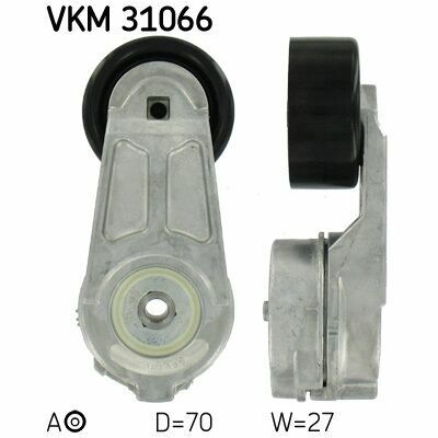 VKM 31066