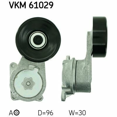 VKM 61029