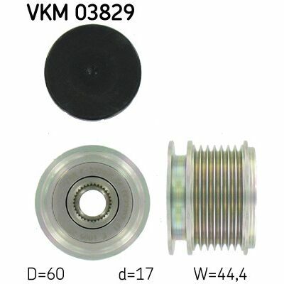VKM 03829