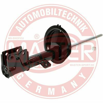 312687-PCS-MS