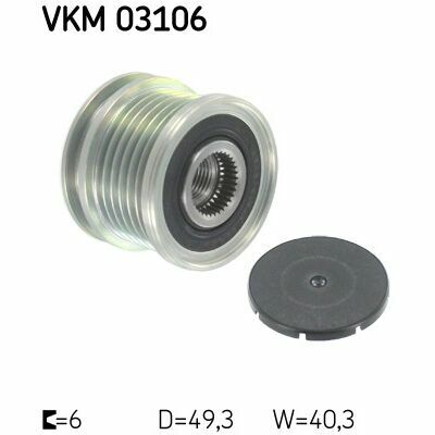VKM 03106