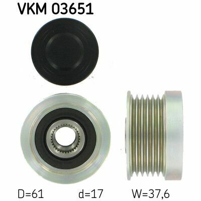 VKM 03651