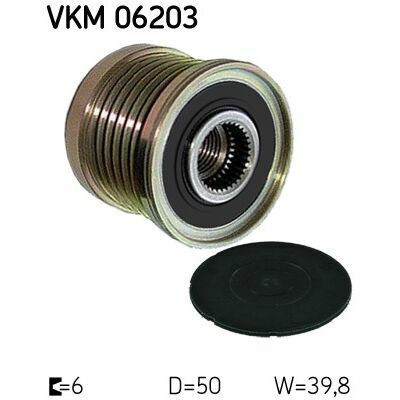 VKM 06203