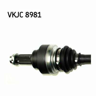 VKJC 8981