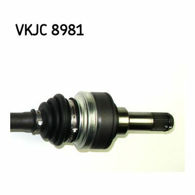VKJC 8981