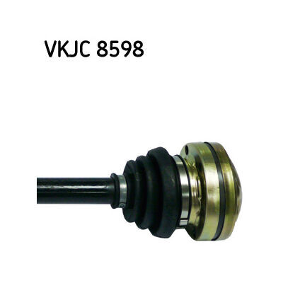 VKJC 8598