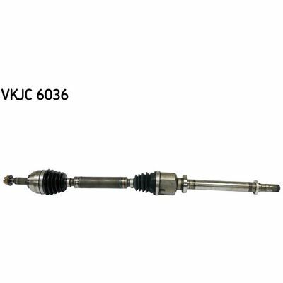 VKJC 6036