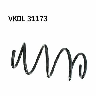 VKDL 31173