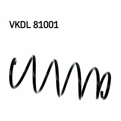 VKDL 81001