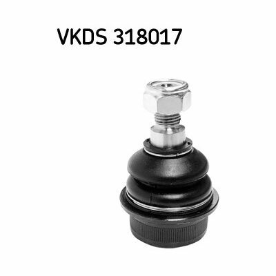VKDS 318017