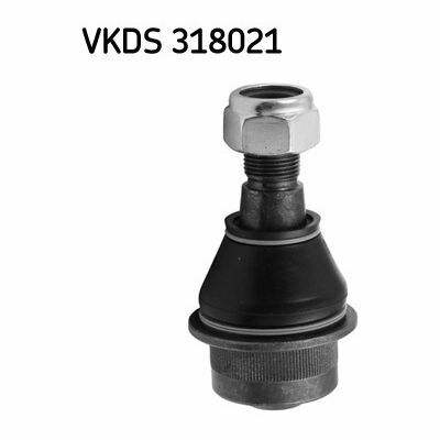 VKDS 318021