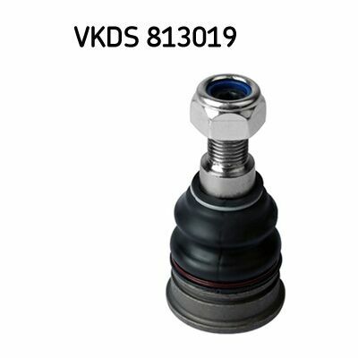 VKDS 813019