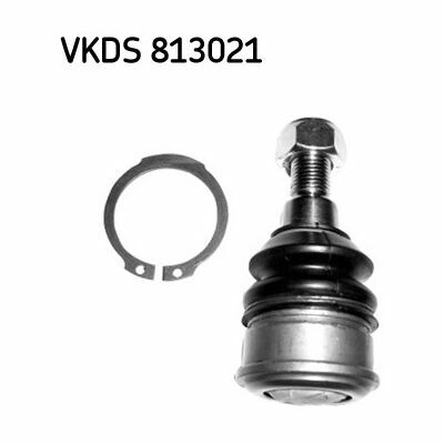 VKDS 813021