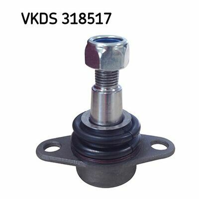 VKDS 318517