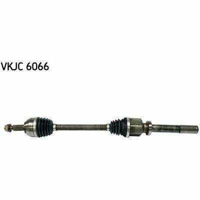 VKJC 6066
