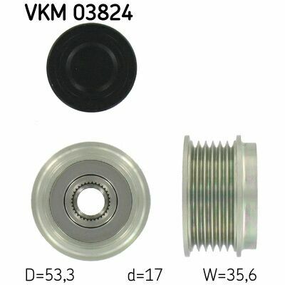 VKM 03824