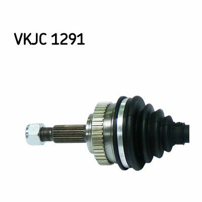 VKJC 1291
