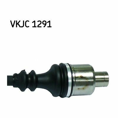 VKJC 1291