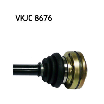 VKJC 8676