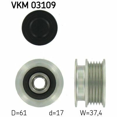 VKM 03109