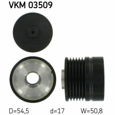 VKM 03509