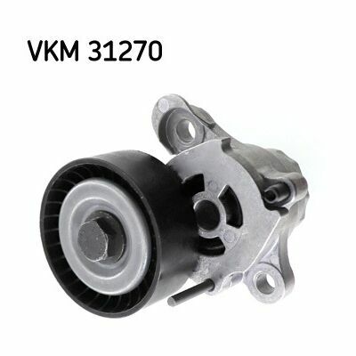 VKM 31270