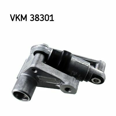 VKM 38301