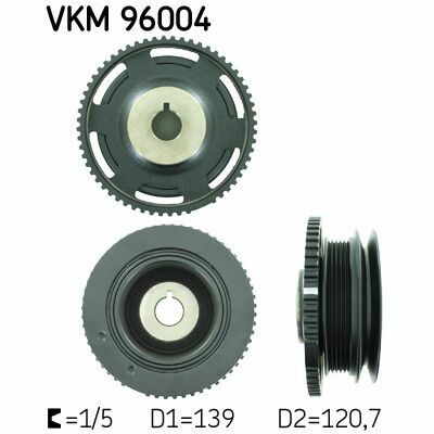 VKM 96004