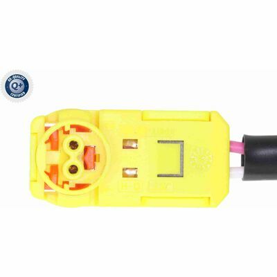 Q+,  Première Monte