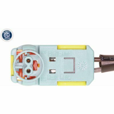 Q+,  Première Monte