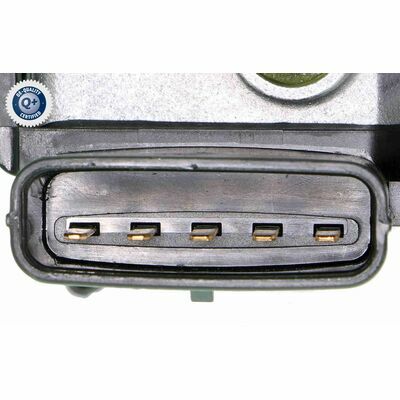 Q+,  Première Monte