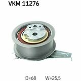 VKM 11276