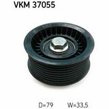 VKM 37055