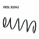 VKDL 81043